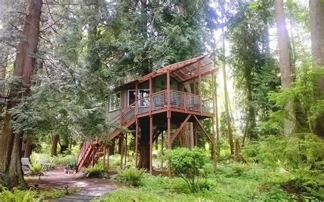 Tree Houses: Living in Harmony with Nature's Architectural Wonders